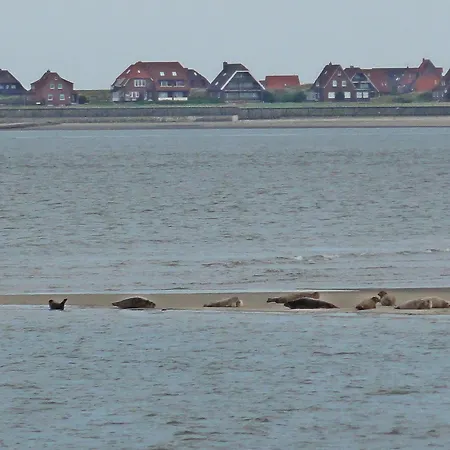 Mit Meerblick Auf Robbenbänke Von Norderney, Geschützter Südwestbalkon * Baltrum