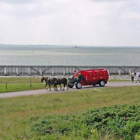 Mit Meerblick Auf Robbenbänke Von Norderney, Geschützter Südwestbalkon * Baltrum