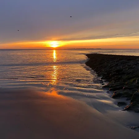 Mit Meerblick Auf Robbenbaenke Von Norderney, Geschuetzter Suedwestbalkon * Baltrum