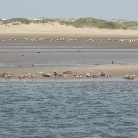 Lejlighed Mit Wunderschoenen Meerblick Auf Robbenbaenke Von Norderney, Geschuetzter Suedwestbalkon
